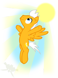 Size: 774x1032 | Tagged: safe, artist:bigrodeo, oc, pegasus, pony, solo, sun