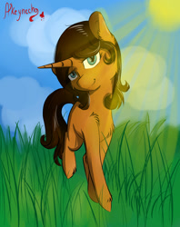 Size: 1018x1286 | Tagged: safe, artist:yuris, oc, oc:akkachan, pony, unicorn, chest fluff, grass, hoof fluff, leg fluff, looking at you, solo, sun, sunlight