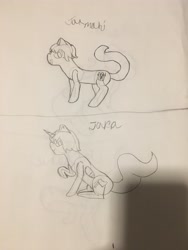 Size: 3024x4032 | Tagged: safe, oc, oc only, oc:jara, oc:jarmahi, pony, ponified, traditional art