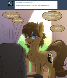 Size: 2000x2300 | Tagged: safe, artist:fluffyxai, oc, oc:spirit wind, earth pony, pony, chair, curtains, implied pinkie pie, male, smiling, speech bubble, stallion, tumblr, tumblr:ask spirit wind