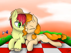 Size: 2000x1500 | Tagged: safe, artist:llhopell, bright mac, pear butter, butterfly, earth pony, horse, pony, cloud, evening sky, female, grass, love, male, romantic, sky