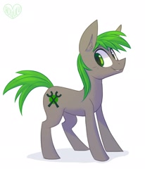 Size: 2021x2455 | Tagged: safe, artist:meekcheep, oc, earth pony, pony, solo