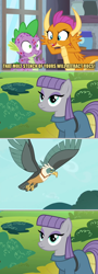 Size: 800x2213 | Tagged: safe, edit, edited screencap, screencap, maud pie, smolder, spike, bird, dragon, earth pony, pony, roc, molt down, caption, dragoness, female, image macro, mare, misspelling, molting, puberty, text