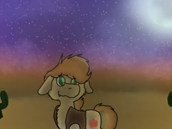 Size: 1200x900 | Tagged: safe, artist:redstreakboy, braeburn, earth pony, pony, cactus, cheek fluff, chest fluff, cloud, cute, cute little fangs, desert, fangs, floppy ears, moon, solo, starry eyes, stars, sunset, wingding eyes