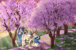 Size: 1487x993 | Tagged: safe, artist:bijutsuyoukai, oc, oc only, oc:femi, oc:rippled harmony, kirin, pony, unicorn, cherry blossoms, female, flower, flower blossom, male, mare