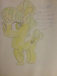 Size: 1944x2592 | Tagged: safe, artist:jaredking179, oc, oc only, oc:susie, pony, unicorn, bow, female, mare, tail bow, traditional art