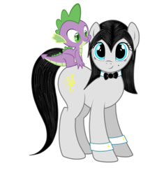 Size: 750x833 | Tagged: safe, artist:thepianistmare, edit, editor:undeadponysoldier, spike, oc, oc:klavinova, dragon, pony, bowtie, canon x oc, cuffs (clothes), dragons riding ponies, riding, shipping, spikenova