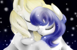 Size: 1024x668 | Tagged: safe, artist:shinytheblossom, oc, oc:open canvas, oc:vanilla beat, pony, friendship, hug, night, snow