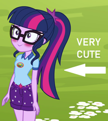 Size: 676x758 | Tagged: safe, edit, edited screencap, screencap, sci-twi, twilight sparkle, equestria girls, legend of everfree, adorkable, arrow, blushing, captain obvious, caption, cropped, cute, dork, image macro, solo, text, truth, twiabetes