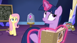 Size: 1598x898 | Tagged: safe, derpibooru import, screencap, fluttershy, twilight sparkle, twilight sparkle (alicorn), alicorn, pegasus, pony, growing up is hard to do, book, chalkboard, duo, flower, glass case, levitation, magic, stack, table, telekinesis, twilight's castle, wishing flower