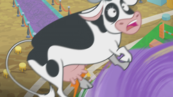 Size: 1274x717 | Tagged: safe, screencap, bloofy, cow, whirling mungtooth, growing up is hard to do, cloven hooves, holstein, tornado, twister, udder