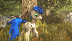 Size: 1920x1080 | Tagged: safe, artist:pesty_skillengton, artist:silvernote, oc, oc only, oc:record melodie, pegasus, pony, 3d, butt, forest, looking at you, male, nudity, plot, source filmmaker, stallion