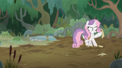 Size: 1600x894 | Tagged: safe, screencap, sweetie belle, pony, growing up is hard to do, bush, cattails, dirt, frustrated, mud, muddy, muddy hooves, older, older sweetie belle, paper, sticky, stuck, swamp, tree