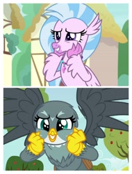 Size: 3106x4096 | Tagged: safe, edit, edited screencap, screencap, gabby, silverstream, griffon, hippogriff, the fault in our cutie marks, uprooted, birb, cute, diastreamies, gabbybetes