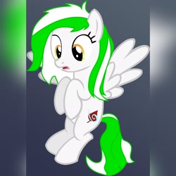 Size: 2048x2048 | Tagged: safe, artist:ethalthehusky, oc, original species, pegasus, pony, cutie mark, female, flying, show accurate, simple background, solo, vector