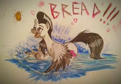 Size: 3709x2560 | Tagged: safe, artist:borsch-zebrovich, oc, oc only, pegasus, pony, behaving like a bird, bread, feeding, food, pegaduck, solo, traditional art, water