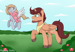 Size: 2962x2059 | Tagged: safe, artist:raspberrystudios, teddy, oc, oc only, alicorn, pony, alicorn oc, beard, commission, facial hair, female, filly, flower, grass, male, male alicorn, patreon, patreon reward, pegasus oc, stallion