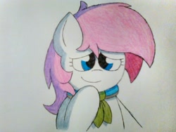 Size: 1600x1200 | Tagged: safe, artist:thebadbadger, oc, oc:lilac, pony, simple background, traditional art, white background