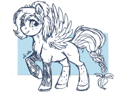 Size: 800x600 | Tagged: safe, artist:ali-selle, oc, oc only, pegasus, pony, solo