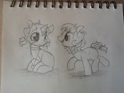 Size: 500x375 | Tagged: safe, artist:laceymod, oc, oc only, oc:lovelace, oc:sunflower, earth pony, pony, unicorn, female, filly, monochrome, traditional art