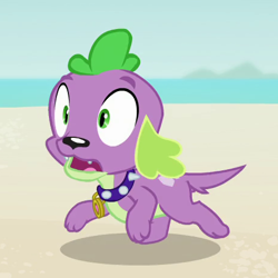 Size: 460x460 | Tagged: safe, screencap, spike, spike the regular dog, dog, better together, equestria girls, forgotten friendship, cropped, male, paws, running, solo, spike's dog collar, tail