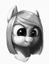 Size: 1024x1333 | Tagged: safe, artist:eerinless, oc, earth pony, pony, bust, monochrome, puffy cheeks, simple background, solo, white background