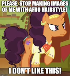 Size: 500x546 | Tagged: safe, edit, edited screencap, screencap, saffron masala, pony, unicorn, spice up your life, caption, cropped, female, grammar error, image macro, mare, meme, solo, text