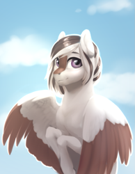 Size: 805x1037 | Tagged: safe, artist:eerinless, oc, pegasus, pony, cloud, sky, solo