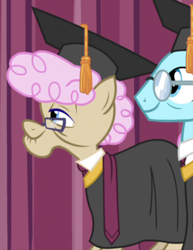 Size: 390x505 | Tagged: safe, screencap, pony, growing up is hard to do, aquamarine robe, background pony, cropped, duo, graduation cap, hat, rosy sapphire