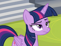 Size: 960x720 | Tagged: safe, screencap, twilight sparkle, twilight sparkle (alicorn), alicorn, pony, horse play, cropped, frown, lidded eyes, raised eyebrow, solo, unamused