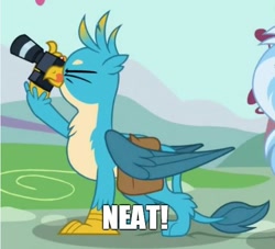Size: 522x473 | Tagged: safe, edit, edited screencap, screencap, gallus, silverstream, griffon, dragon dropped, bender bending rodriguez, camera, chest fluff, cropped, cute, futurama, gallabetes, male, meme, neat, offscreen character, one eye closed, saddle bag, that's lobstertainment!, tongue out