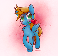 Size: 1280x1228 | Tagged: safe, artist:dawnfire, oc, oc:swift crescendo, pegasus, pony, flower, flower in mouth, rose, rose in mouth, solo