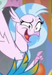 Size: 540x781 | Tagged: safe, screencap, gallus, silverstream, classical hippogriff, hippogriff, she's all yak, cropped, cute, diastreamies, faic, offscreen character, quadrupedal, solo focus, you look so weird