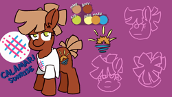 Size: 1920x1080 | Tagged: safe, artist:threetwotwo32232, oc, oc:calamari sunrise, earth pony, pony, clothes, reference sheet, shirt, t-shirt