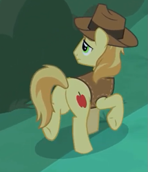 Size: 433x503 | Tagged: safe, screencap, braeburn, earth pony, pony, the summer sun setback, butt, cowboy hat, cropped, hat, hooves, male, plot, raised hoof