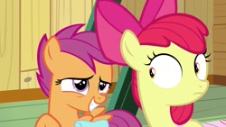 Size: 1920x1080 | Tagged: safe, screencap, apple bloom, scootaloo, pony, growing up is hard to do