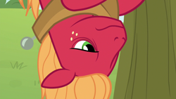 Size: 1280x720 | Tagged: safe, screencap, big macintosh, pony, going to seed, apple, apple tree, solo, tree, upside down