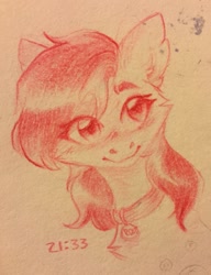 Size: 739x960 | Tagged: safe, artist:redslipp, roseluck, pony, bust, collar, cute, fluffy, pet tag, pony pet, portrait, rosepet, traditional art