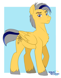 Size: 1614x2056 | Tagged: safe, artist:xwhitedreamsx, oc, oc only, pegasus, pony, chest fluff, eye scar, male, raised hoof, scar, solo, stallion