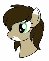 Size: 762x949 | Tagged: safe, artist:techmagic, oc, oc only, oc:rune, pony, :3, brown mane, female, filly, green eyes, head, solo