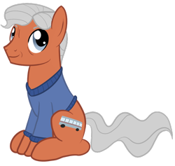 Size: 950x900 | Tagged: safe, artist:sixes&sevens, earth pony, pony, clothes, doctor who, graham o'brien, male, ponified, simple background, solo, sweater, transparent background