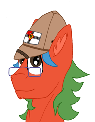 Size: 2597x3336 | Tagged: safe, artist:summerium, oc, oc only, oc:summer lights, pegasus, pony, bust, flag, glasses, male, mittelafrika, mixed media, portrait, salacot