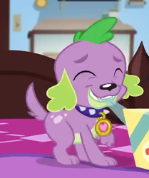 Size: 386x461 | Tagged: safe, screencap, spike, spike the regular dog, dog, better together, equestria girls, reboxing with spike!, cropped, eyes closed, male, paws, smiling, spike's dog collar, tail