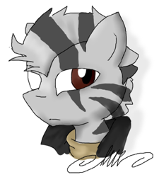 Size: 354x393 | Tagged: safe, artist:lucas47-46, oc, oc only, zebra, disembodied head, head, male, solo