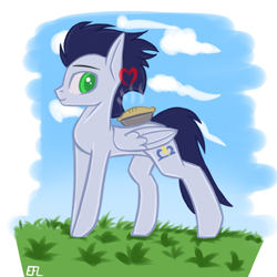 Size: 1000x1000 | Tagged: safe, artist:endelthepegasus, soarin', pegasus, pony, food, male, pie, solo