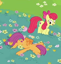 Size: 504x531 | Tagged: safe, screencap, apple bloom, scootaloo, earth pony, pegasus, pony, growing up is hard to do, bow, cropped, cutie mark, duo, faceplant, female, flower, hair bow, mare, older, older apple bloom, older scootaloo, the cmc's cutie marks