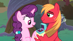 Size: 1920x1080 | Tagged: safe, screencap, big macintosh, sugar belle, pony, the big mac question, cute, female, intertwined trees, male, marriage proposal, ring, shipping, straight, sugarmac, tree, wedding ring