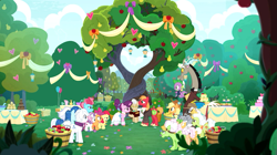 Size: 1433x802 | Tagged: safe, derpibooru import, screencap, apple bloom, apple rose, applejack, auntie applesauce, big macintosh, burnt oak, cup cake, discord, double diamond, goldie delicious, grand pear, granny smith, mayor mare, night glider, party favor, scootaloo, spike, sugar belle, sweetie belle, cat, draconequus, dragon, earth pony, pegasus, pony, unicorn, the big mac question, apple, cake, clothes, cutie mark crusaders, dress, female, food, heartwarming, intertwined trees, male, marriage, shipping, straight, sugarmac, sweet apple acres, tree, user meltdown in the comments, wedding, wedding dress, winged spike