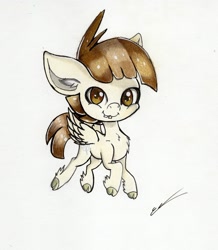 Size: 1985x2273 | Tagged: safe, artist:luxiwind, featherweight, pony, cloven hooves, colored hooves, colored pencil drawing, simple background, solo, traditional art, unshorn fetlocks, white background