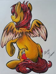 Size: 1587x2083 | Tagged: safe, artist:gleamydreams, oc, oc:fireblitz, pegasus, pony, female, looking away, looking in the distance, mare, one hoof raised, orange eyes, pegasus oc, prismacolors, red hair, sitting, solo, spread wings, traditional art, wings